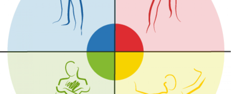 Colour training Insights Discovery